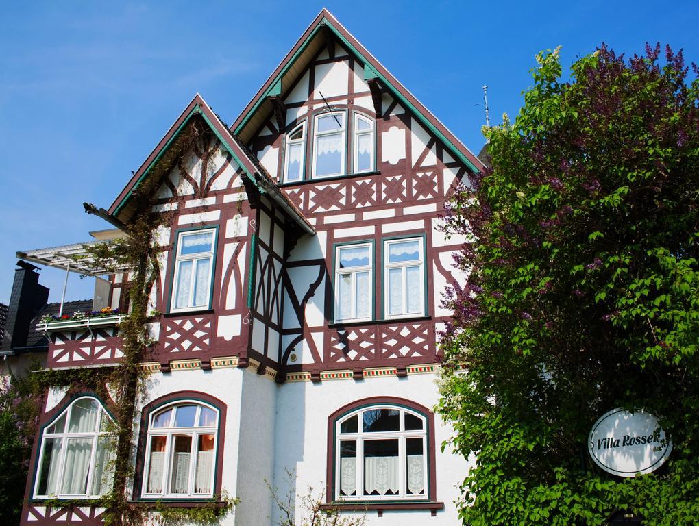 Hotel Villa Rossek Bad Liebenstein Ngoại thất bức ảnh